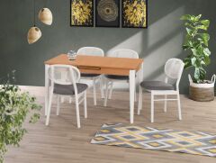 PARİS MASA TAKIMI 4 SANDALYE İLE SET