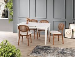 PARİS MASA TAKIMI 4 SANDALYE İLE SET